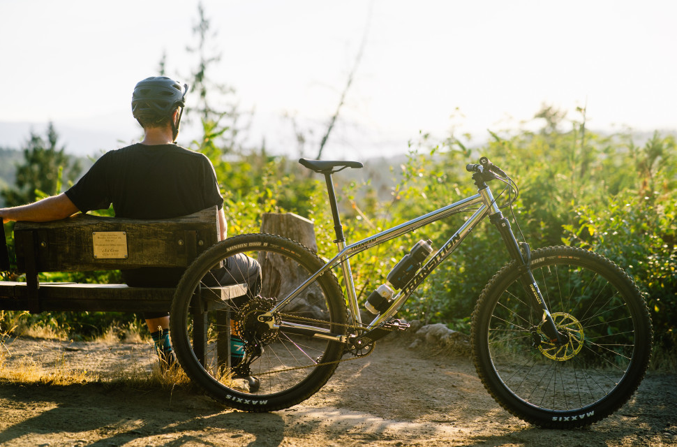 Transition hardtail online frame